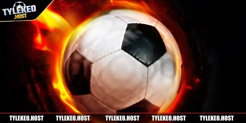 Tylekeo là cầu nối giữa người chơi và thế giới cá cược thông minh