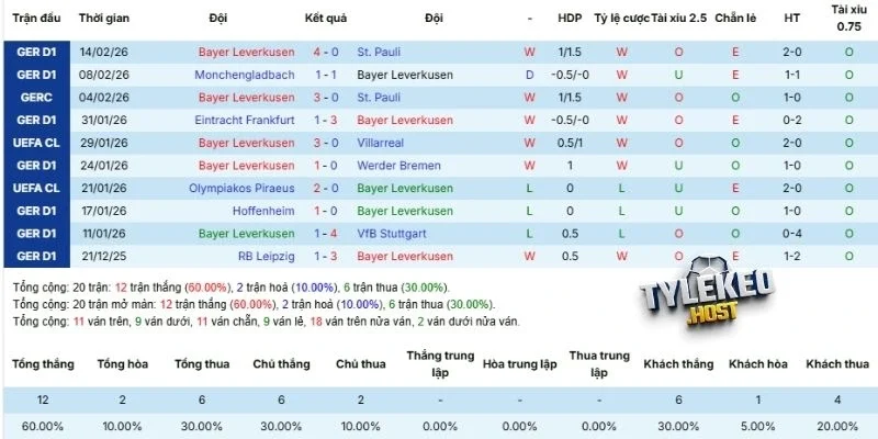 Thành tích thi đấu gần đây của Leverkusen