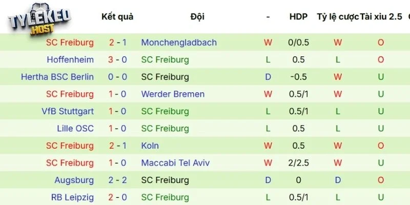 Thành tích thi đấu mới nhất của Freiburg