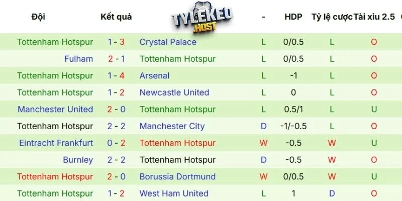 Thành tích thi đấu gần đây của Tottenham